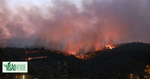 Cerca de 10.000 hectares já arderam na Serra da Estrela